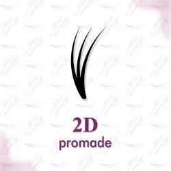 Promade 2D