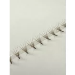 Promade 4D BOLD MAX Strip Brown