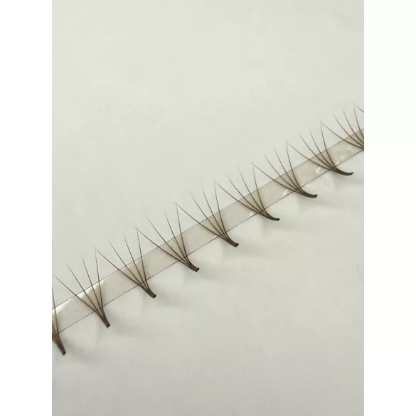 Promade 4D BOLD MAX Strip Brown