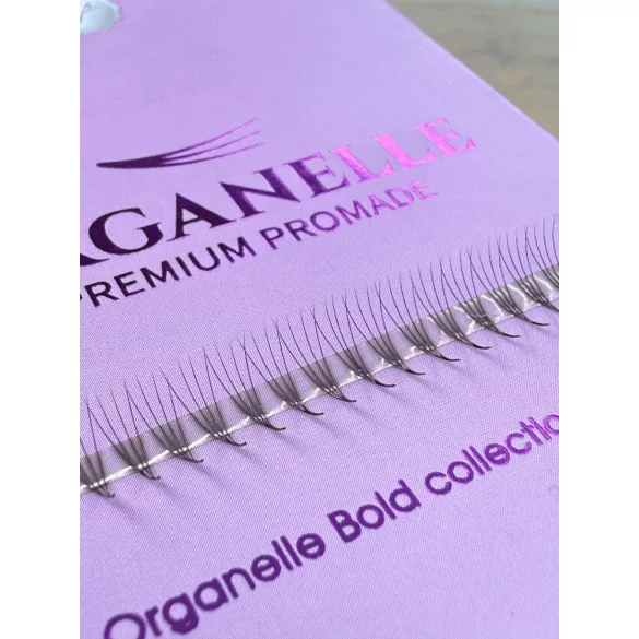 Promade 4D BOLD STRIP ECO 600