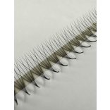 Promade 5D BOLD MAX Strip