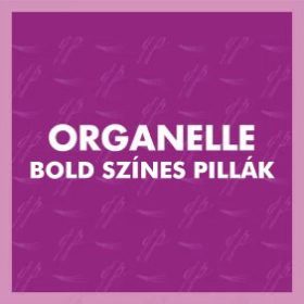 Organelle BOLD Tálcás Színes