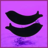 Szilikon szemhéjtapasz - Fekete - Delfin