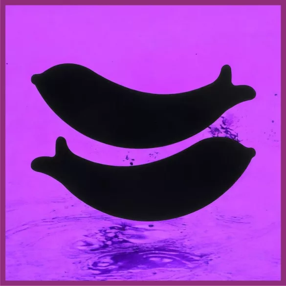 Szilikon szemhéjtapasz - Fekete - Delfin