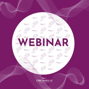 Webinar - szalonmunka bemutatása - UV technológiával