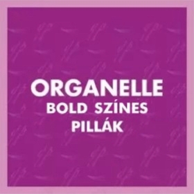 Organelle BOLD Tálcás Színes